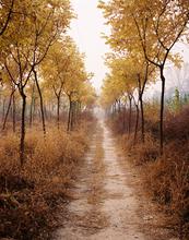 China, Beijing, TLUS, Assignment, Feature, Art Story, Andrew Rowat, Rowat, 1star,