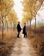 China, Beijing, TLUS, Assignment, Feature, Art Story, Andrew Rowat, Rowat, 1star,