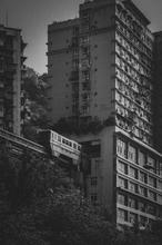 1607693141122_Low_Chon_Torre