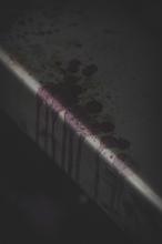 1607863948222_Low_Vino_Detalle