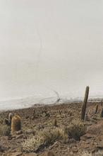 1608033123172_Low_Bolivia_Carretera