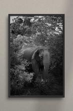 1608035241217_Detalle_Sri_Elefante