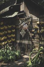 1608220846200_Low_Myan_Platanos