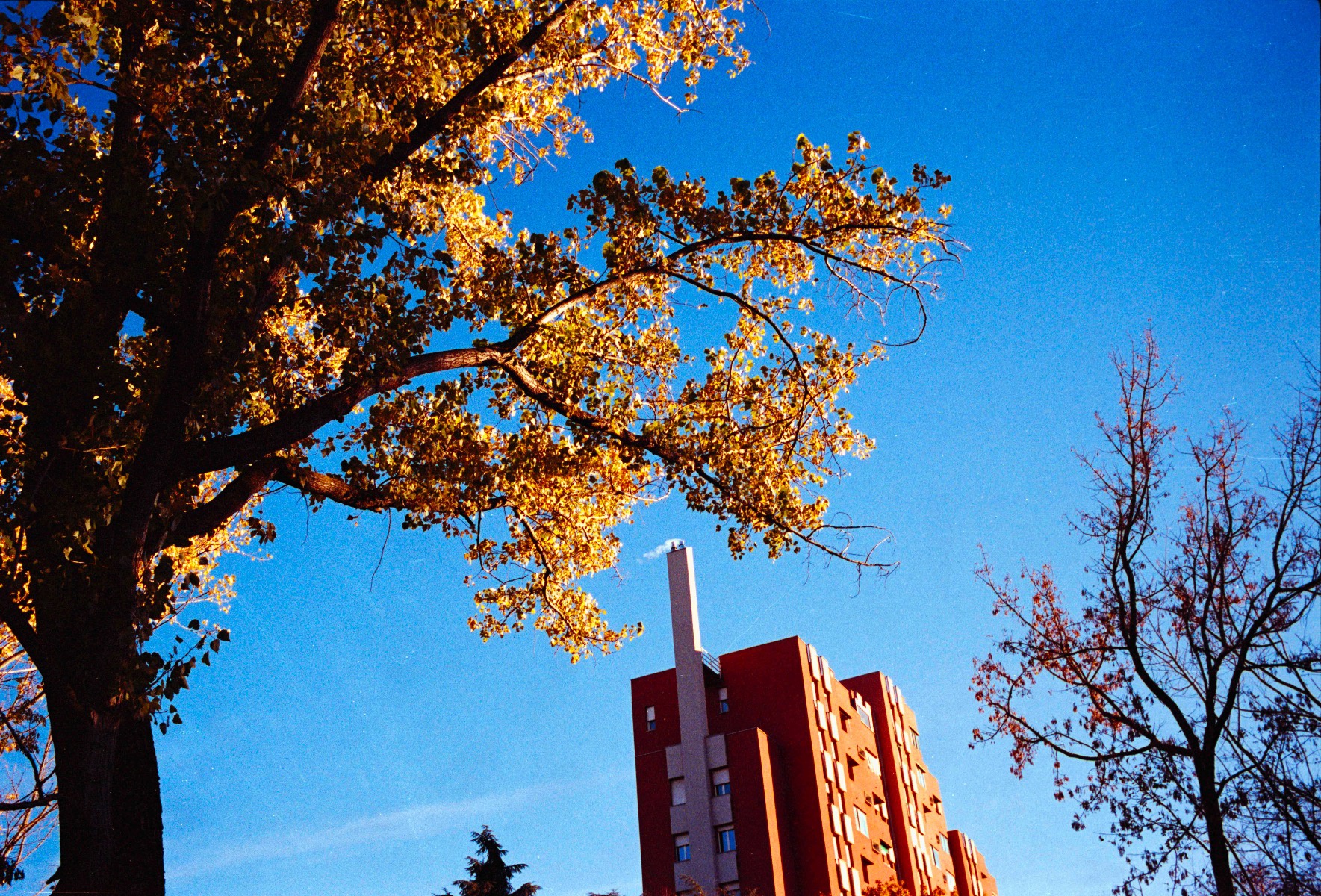 Picture of Bologna, Kodak Portra 400, bolognina, film.