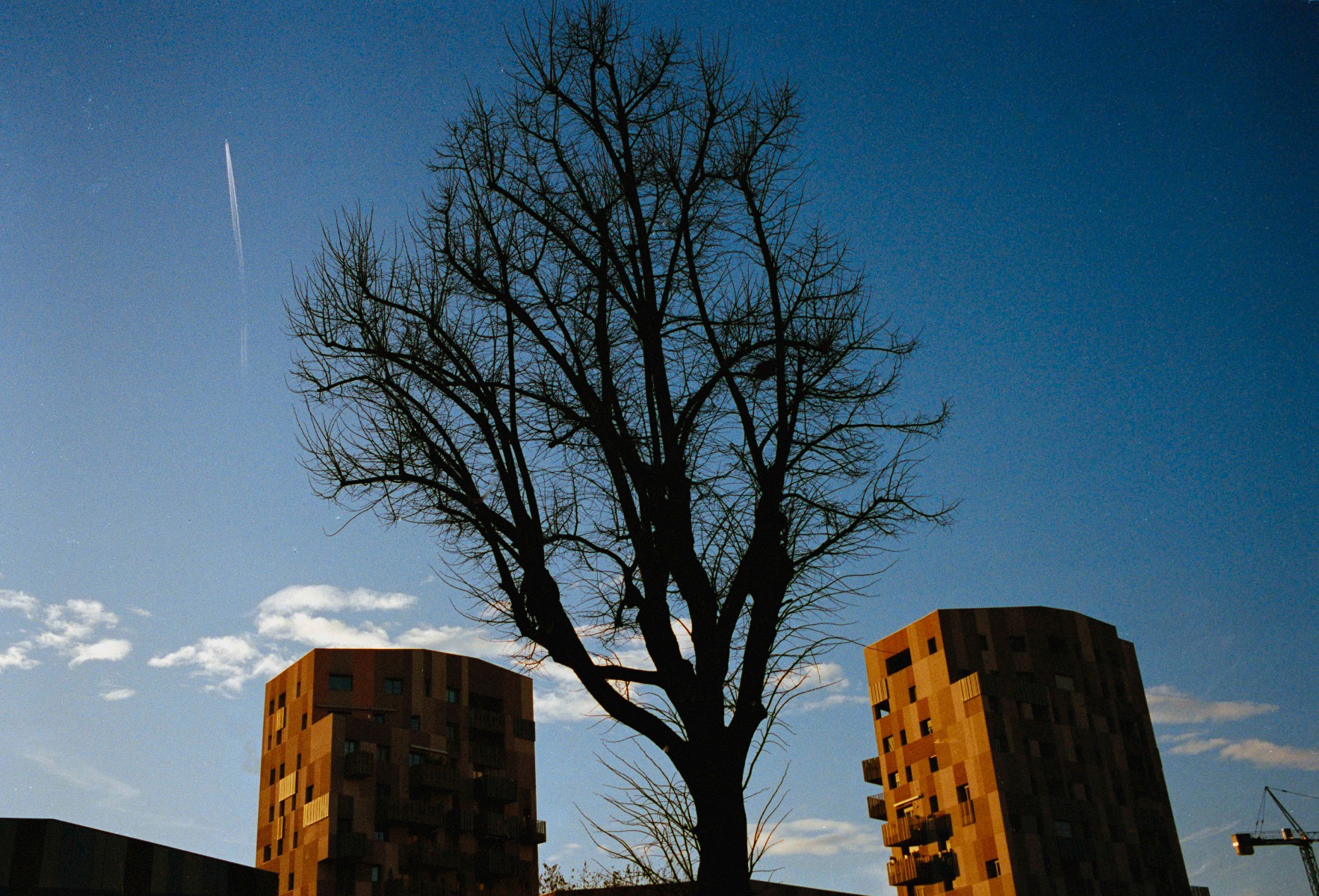 Picture of Bologna, Kodak Portra 400, bolognina, film.