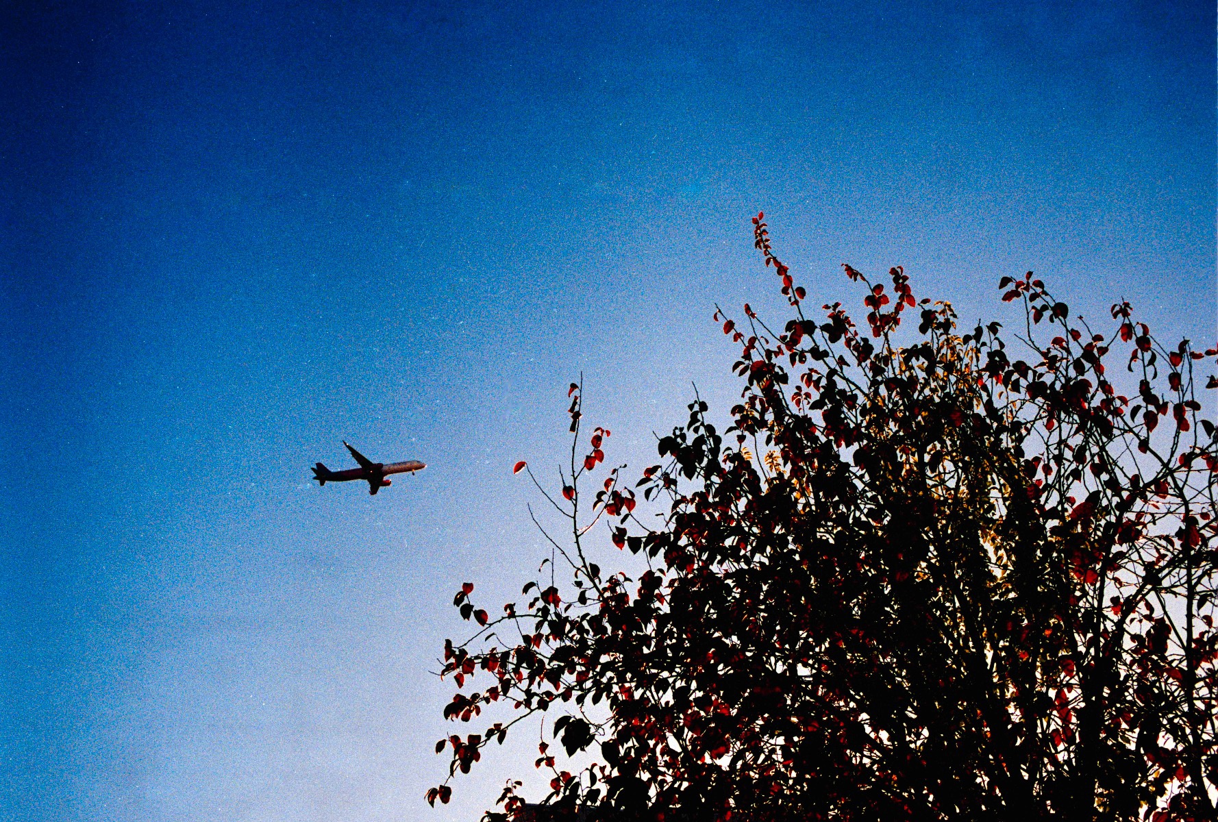 Picture of Bologna, Kodak Portra 400, bolognina, film.