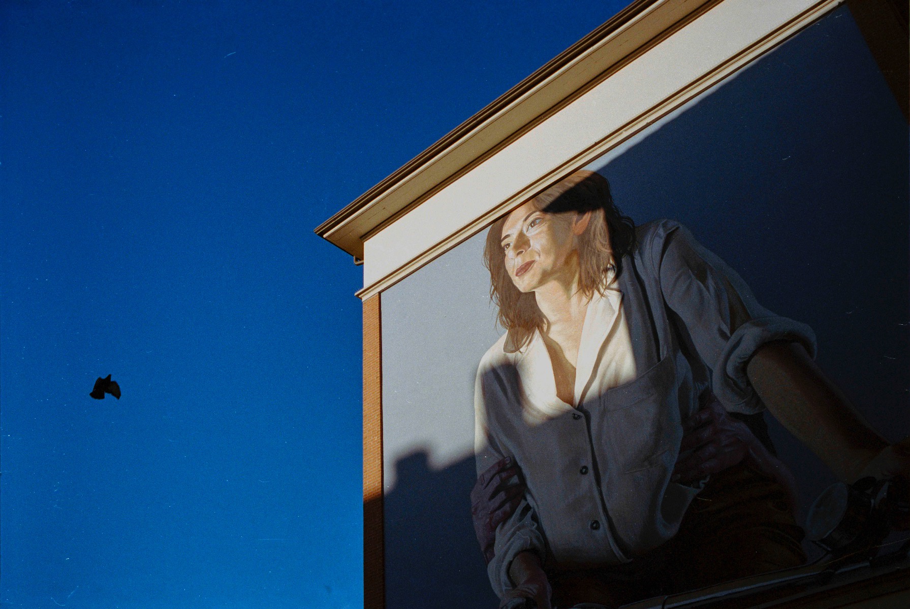 Picture of Bologna, Kodak Portra 400, bolognina, film.