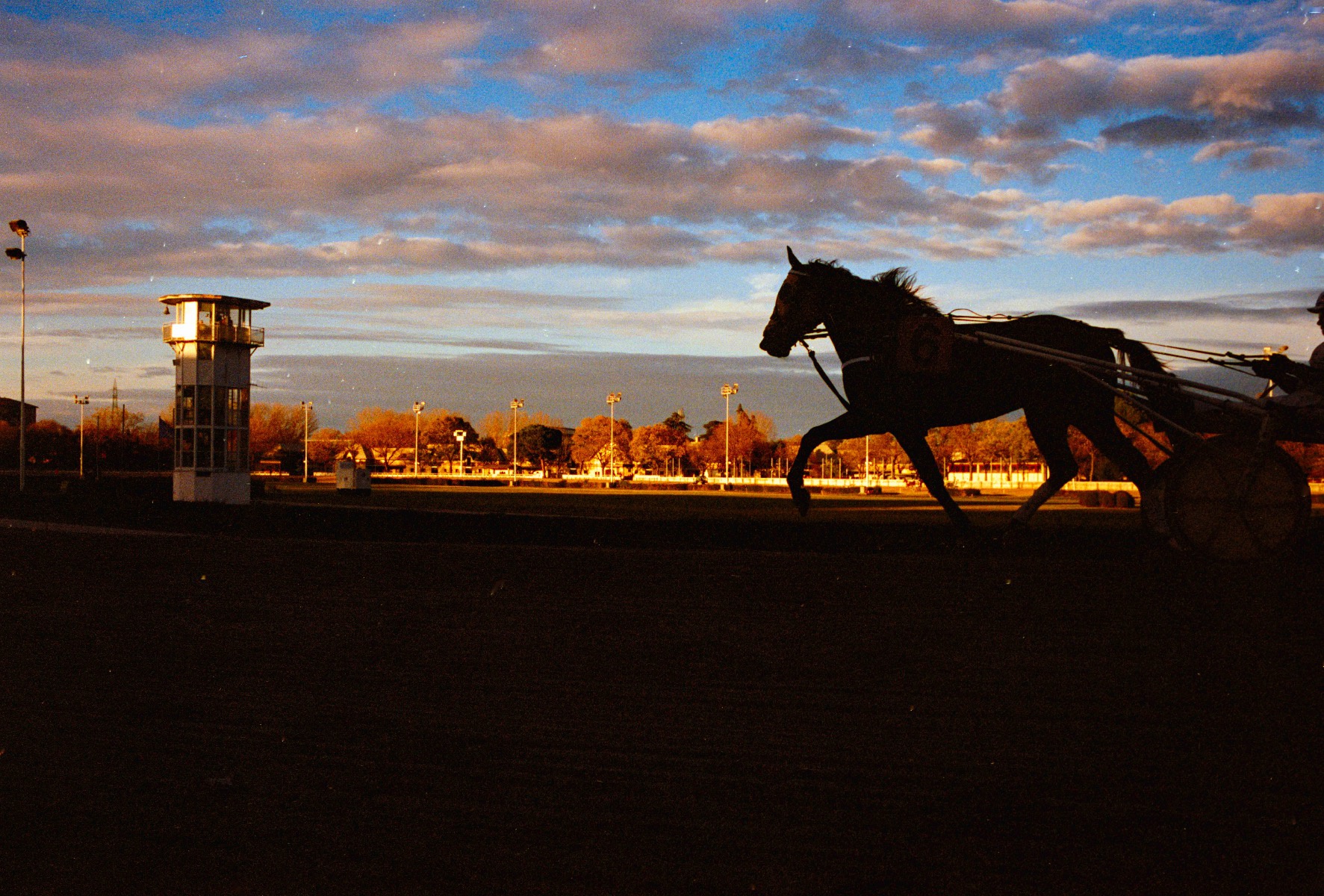 Picture of Bologna, Kodak Portra 400, bolognina, film.