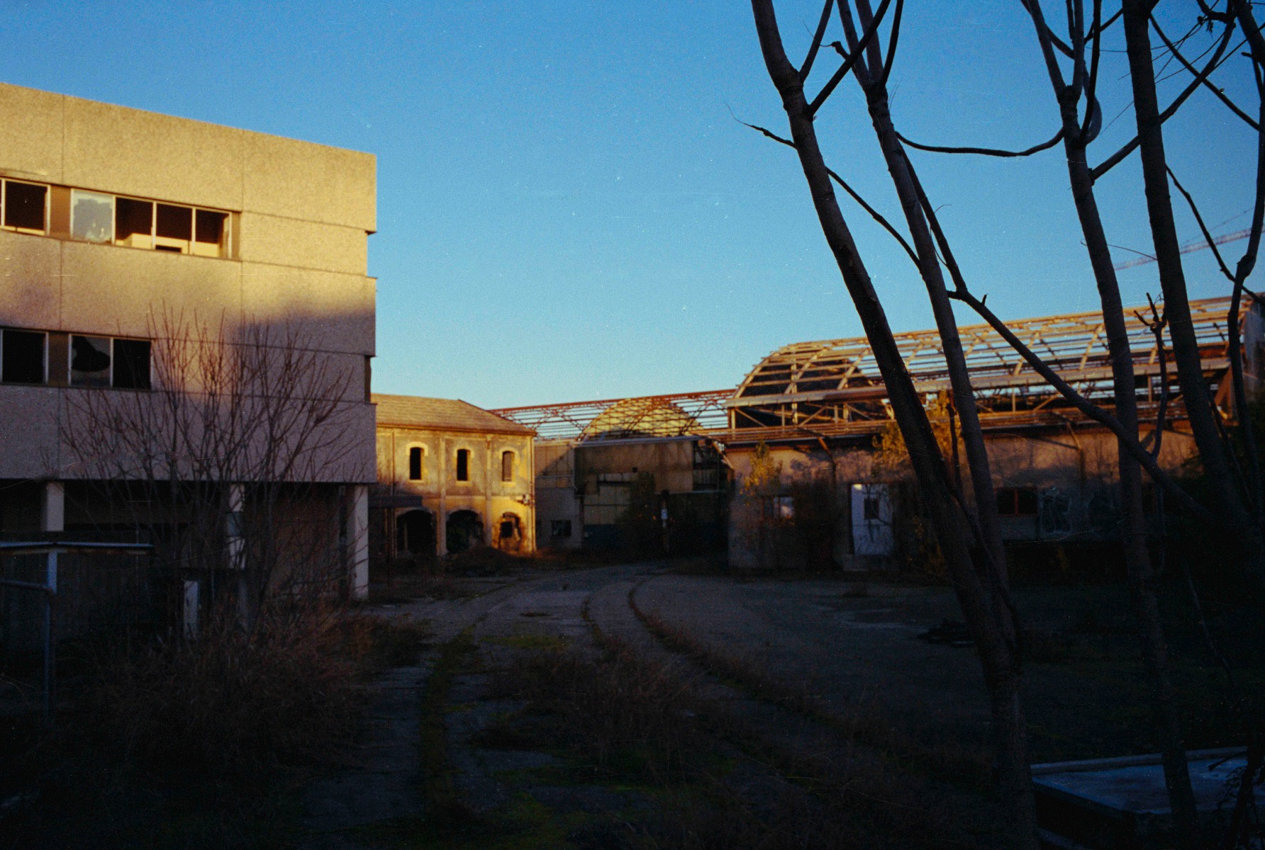 Picture of Bologna, Kodak Portra 400, bolognina, film.
