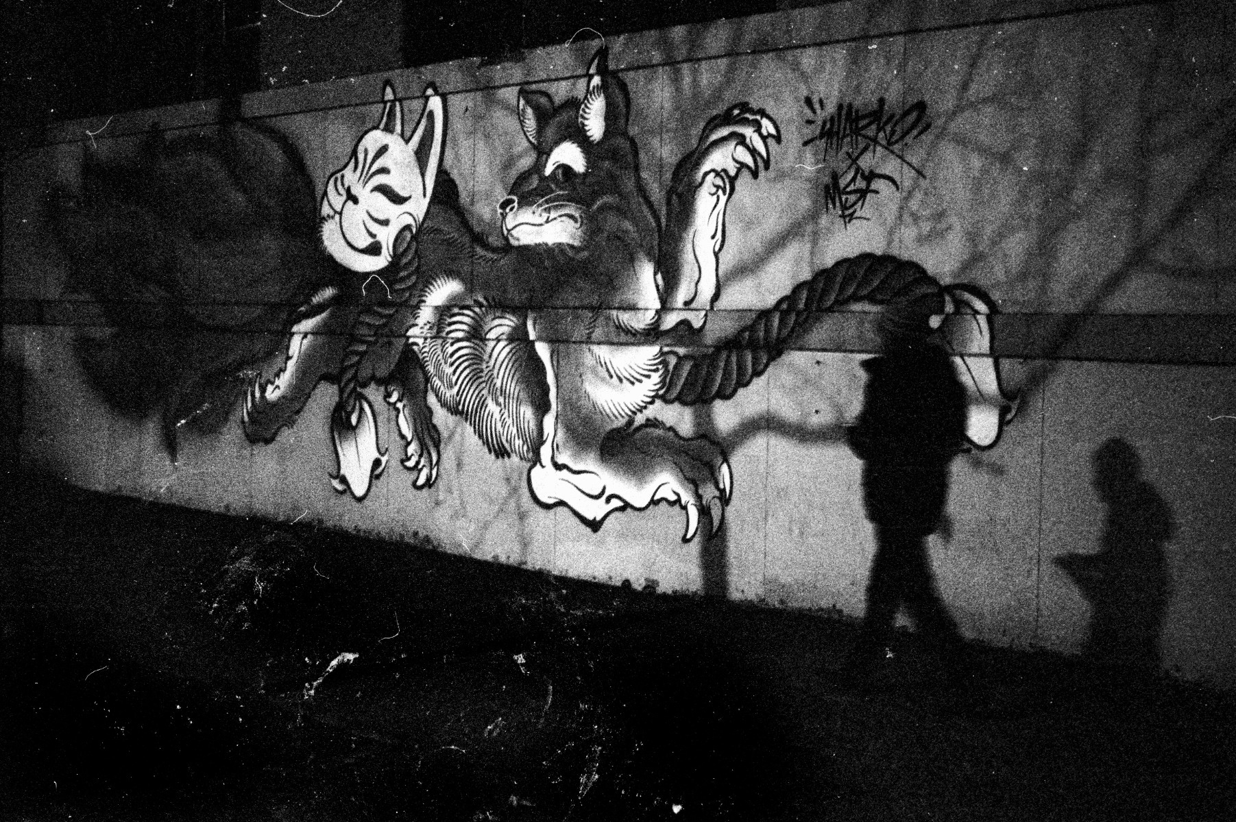 Picture of B/N, Bologna, Ilford HP5 Plus, bolognina, film.