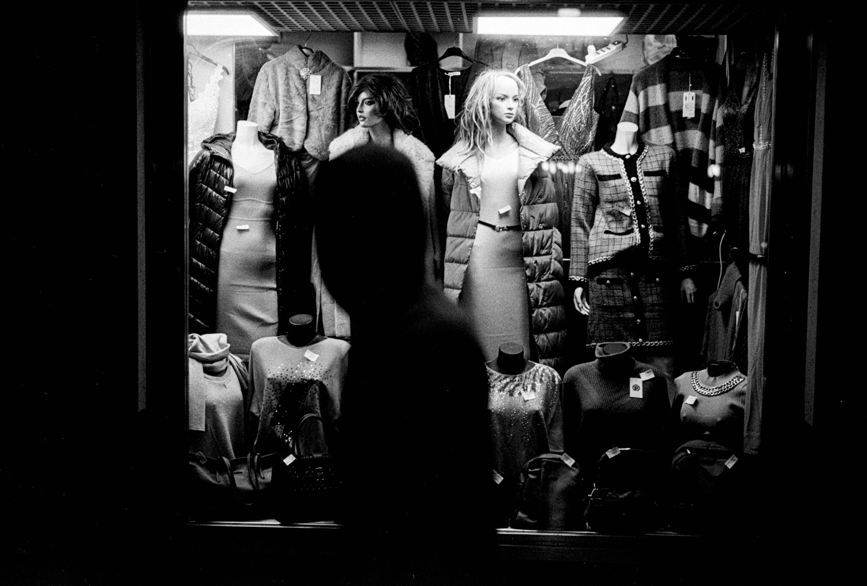 Picture of Bologna, Fomapan, bolognina, film.