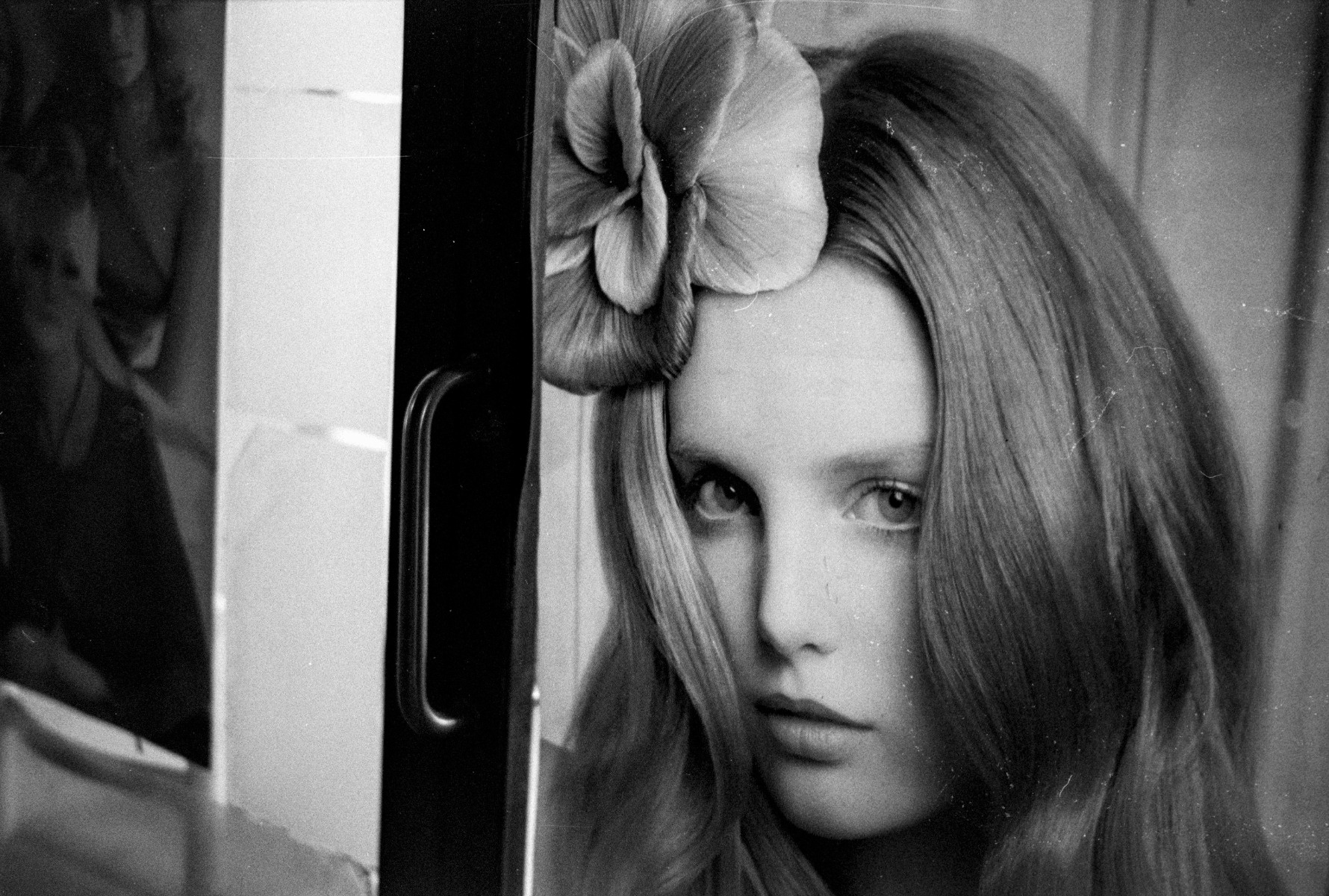 Picture of Bologna, Fomapan, bolognina, film.