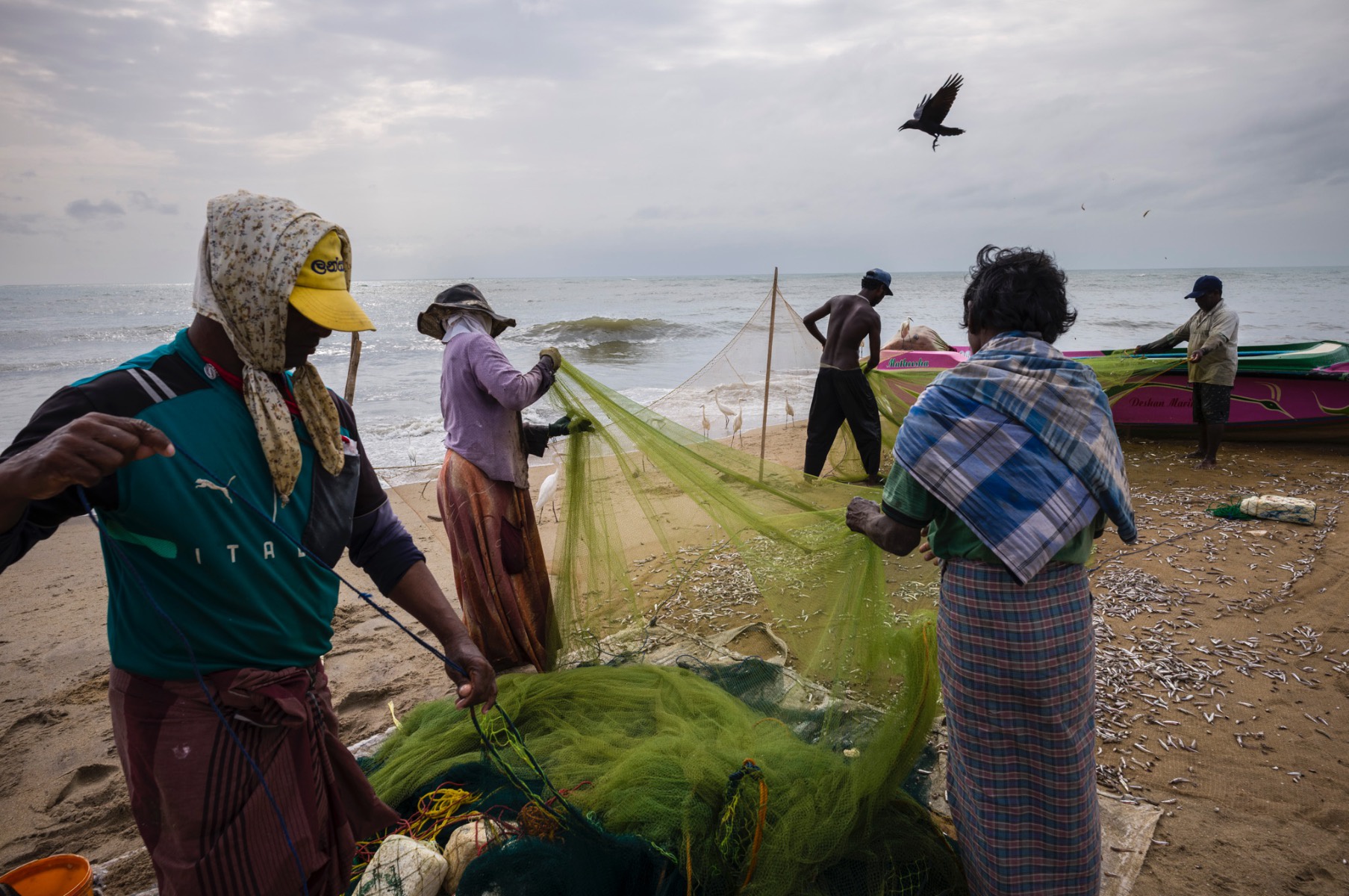 Picture of Pesca, Sri Lanka.