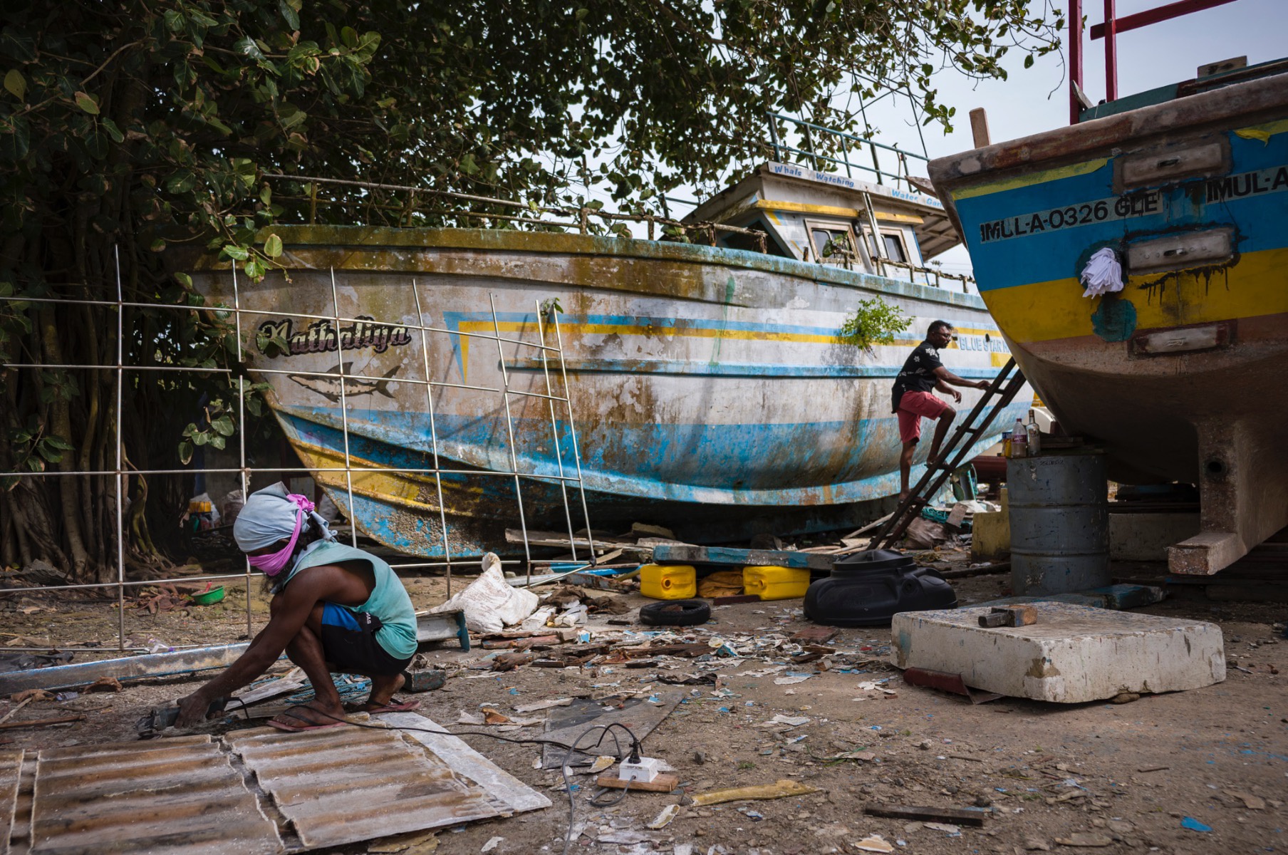 Picture of Pesca, Sri Lanka.