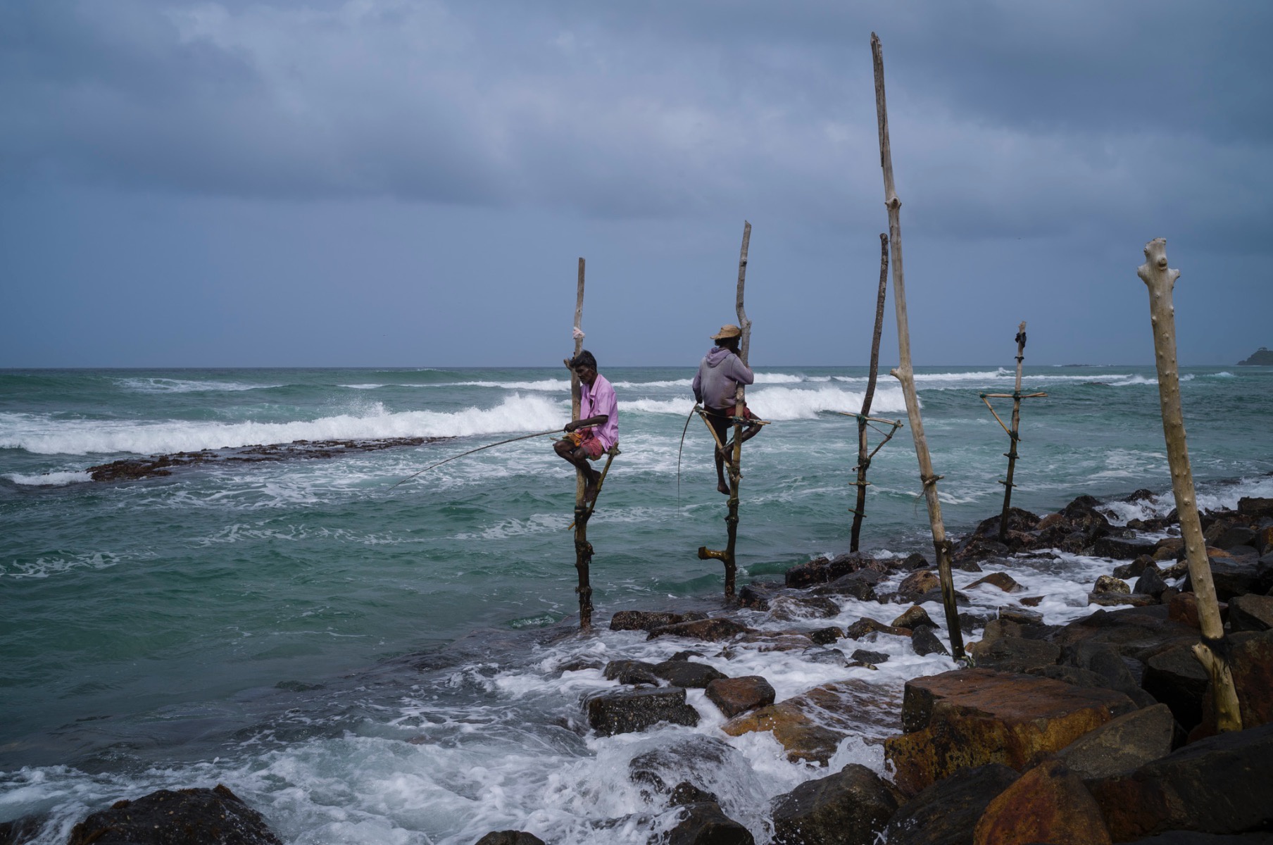 Picture of Pesca, Sri Lanka.