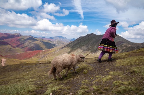 1650572720533_Peru%CC%80AndecopyrightPeterZullo2022-1
