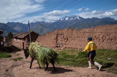 1650572749079_Peru%CC%80AndecopyrightPeterZullo2022-23