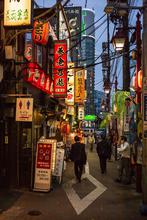 Tokyo, 2016, Copyright Peter Zullo