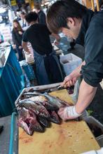 Tsukiji Fish Market, tokyo