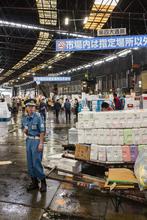 Tsukiji Fish Market, tokyo
