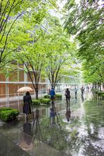 1575821502524_Tokyo_by_Peter_Zullo22