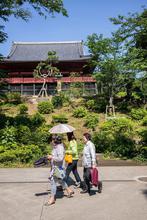 1575821502542_Tokyo_by_Peter_Zullo30