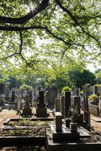 1575821502556_Tokyo_by_Peter_Zullo36