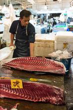 Tsukiji Fish Market, tokyo