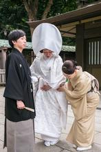 Meiji Jingu, tokyo