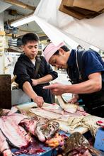 Tsukiji Fish Market, tokyo