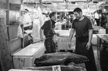 Tsukiji Fish Market, tokyo