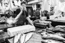 Tsukiji Fish Market, tokyo