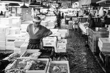 Tsukiji Fish Market, tokyo
