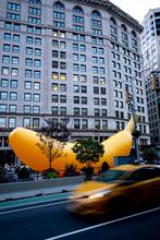Stati Uniti, New York