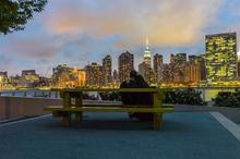 Stati Uniti, New York