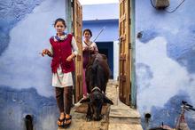 India, Portrait
