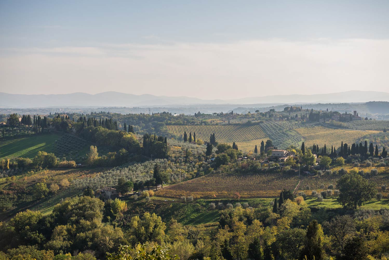 Picture of Vineyards, Country, View, . Picture taken in Tuscany, Italy.