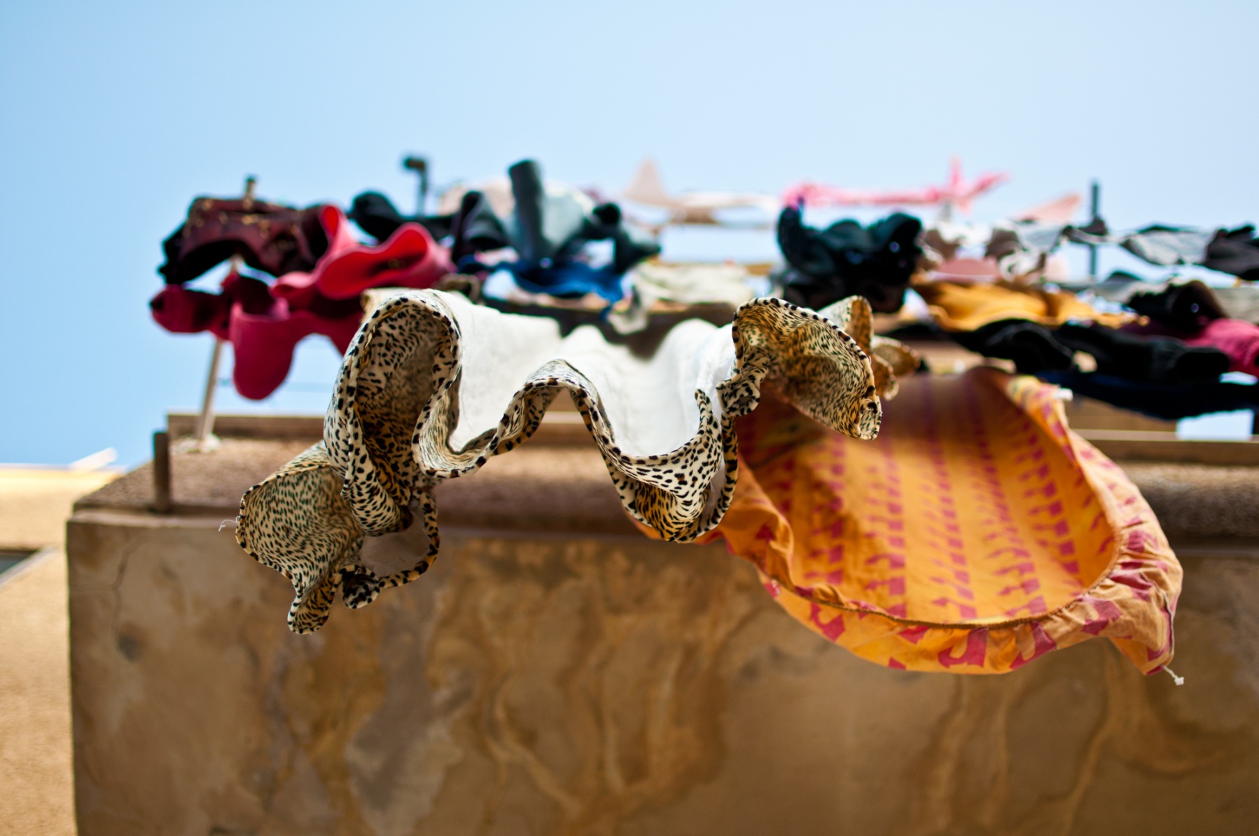 Picture of Intimacy under the Wires, Israel, Jaffa, Laundry, Tel Aviv, travel