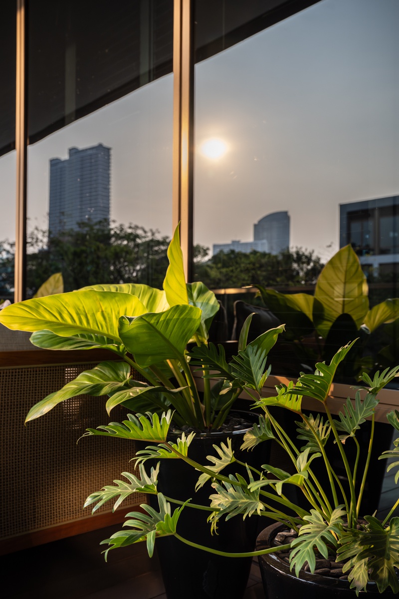 Capella Bangkok, Luxury Hotel, 50Best Hotels, Bangkok. .