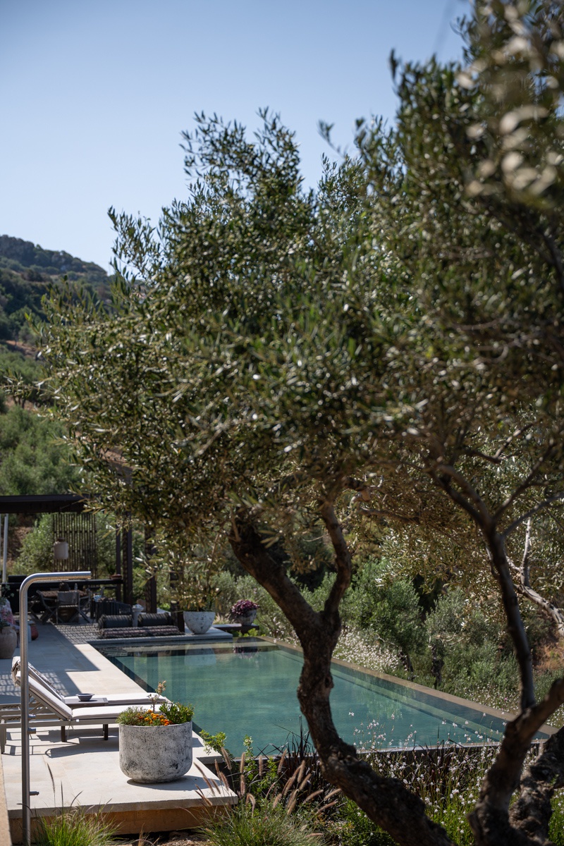 In this picture: Garden and Pool, Bliss House, Crete, Greece. Picture taken in Crete, Greece.