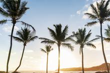 1557154887376_st_barts_11