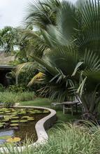1557154887499_st-Barts-3