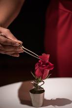 Portugal, Lisbon, Gourmet, Food, Rose