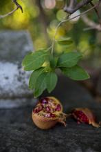 Portugal, Lisbon, pomegranate, Luxury, Nature