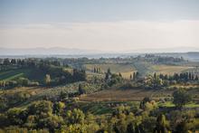 Italy, Tuscany, Vineyards, Country, View