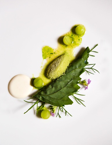 Kingcrab - beach herbs, sour cream & bouillon at AOC Restaurant, Copenhagen, Denmark.. AOC, Denmark, Europe, Scandinavia, cuisine, danish, european, food,. Denmark, Copenhagen