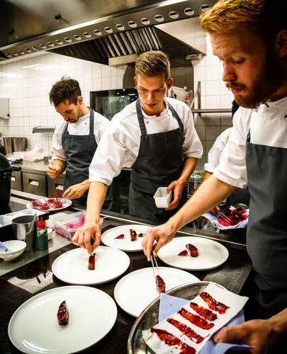 Cooks at work in the kitchen at AOC Restaurant, Copenhagen, Denmark.. AOC, Denmark, Europe, Scandinavia, chef, chefs, cook, cooks, cuisine, danish, european,. Denmark, Copenhagen