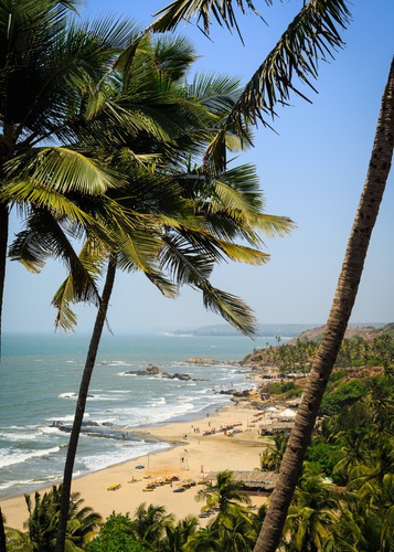 View over Vagator beach, Goa, India.. Asia, India, Indian, asian, beach, ocean, open, palm, paradise, sea, travel, trees, tropical, vagator, view, world. India,